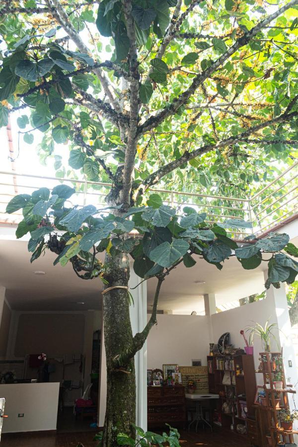 Green House ตาราโปโต ภายนอก รูปภาพ
