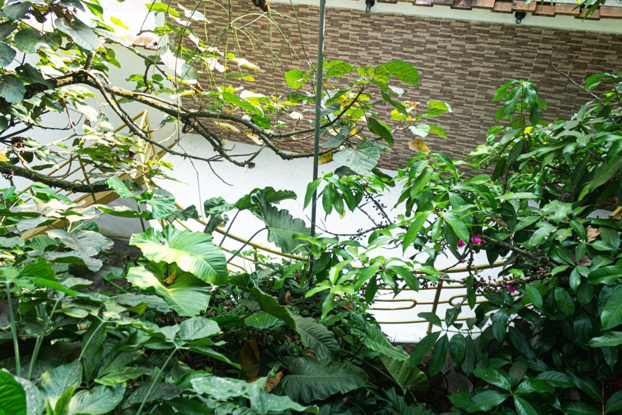 Green House ตาราโปโต ภายนอก รูปภาพ