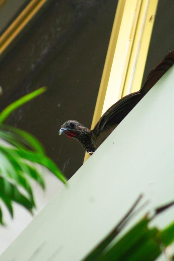 Green House ตาราโปโต ภายนอก รูปภาพ